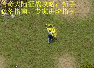传奇大陆征战攻略:新手必备指南,专家进阶指引