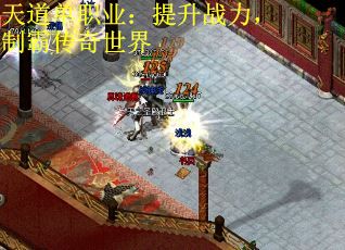 天道单职业：提升战力，制霸传奇世界