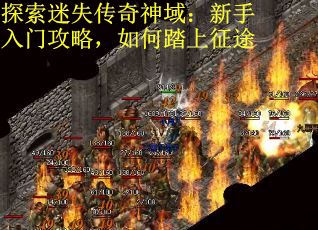 探索迷失传奇神域：新手入门攻略，如何踏上征途