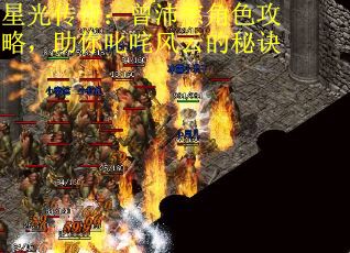 星光传奇：曾沛慈角色攻略，助你叱咤风云的秘诀