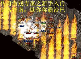 传奇游戏专家之新手入门必备指南:助你称霸沙巴克