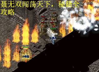 聂无双闯荡天下，秘籍全攻略