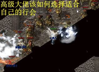 高级大佬该如何选择适合自己的行会