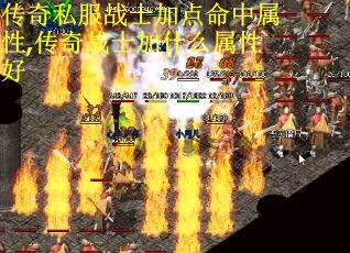 传奇私服战士加点命中属性,传奇战士加什么属性好