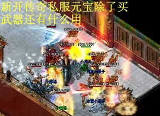 新开传奇私服元宝除了买武器还有什么用