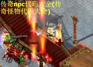 传奇npc代码大全(传奇怪物代码大全)