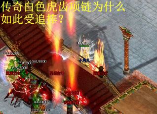 传奇白色虎齿项链为什么如此受追捧？