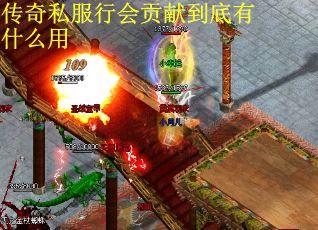 传奇私服行会贡献到底有什么用