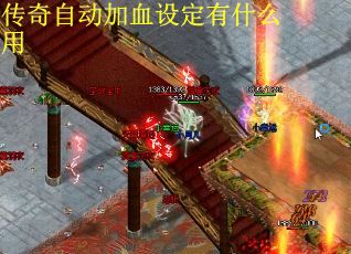 传奇自动加血设定有什么用