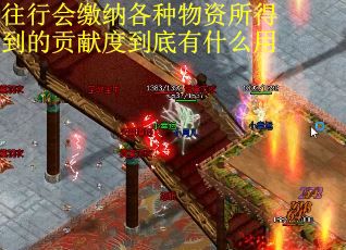 往行会缴纳各种物资所得到的贡献度到底有什么用