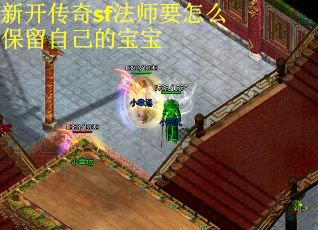 新开传奇sf法师要怎么保留自己的宝宝