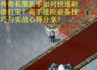传奇私服新手如何快速刷级打宝？高手进阶必备技巧与实战心得分享？