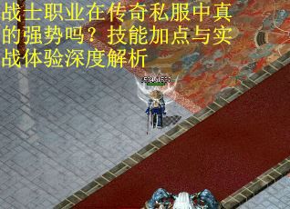 战士职业在传奇私服中真的强势吗？技能加点与实战体验深度解析