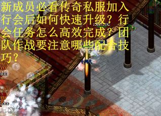 新成员必看传奇私服加入行会后如何快速升级？行会任务怎么高效完成？团队作战要注意哪些配合技巧？