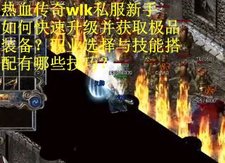 热血传奇wlk私服新手如何快速升级并获取极品装备？职业选择与技能搭配有哪些技巧？
