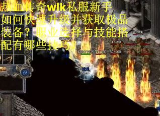 热血传奇wlk私服新手如何快速升级并获取极品装备？职业选择与技能搭配有哪些技巧？