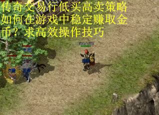 传奇交易行低买高卖策略如何在游戏中稳定赚取金币？求高效操作技巧