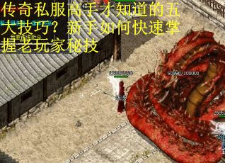 传奇私服高手才知道的五大技巧？新手如何快速掌握老玩家秘技