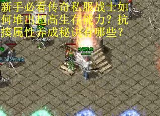 新手必看传奇私服战士如何堆出超高生存能力？抗揍属性养成秘诀有哪些？