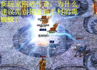 新玩家刚进传奇，为什么建议先别招惹新手村的毒蜘蛛？
