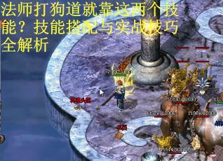 法师打狗道就靠这两个技能？技能搭配与实战技巧全解析