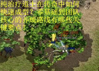 纯治疗道士在传奇中如何快速成型?零基础到团队核心的养成路线有哪些关键要点?