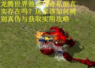 龙腾世界热血传奇私服真实存在吗?玩家该如何辨别真伪与获取实用攻略