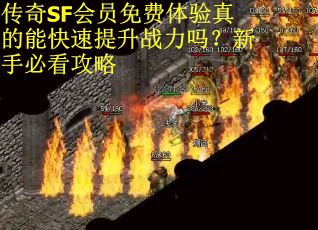 传奇SF会员免费体验真的能快速提升战力吗？新手必看攻略