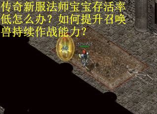 传奇新服法师宝宝存活率低怎么办？如何提升召唤兽持续作战能力？