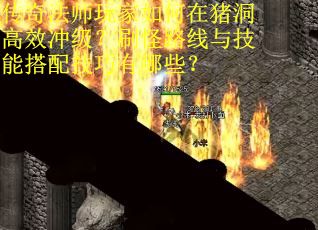 传奇法师玩家如何在猪洞高效冲级?刷怪路线与技能搭配技巧有哪些?