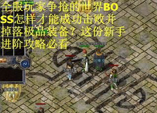 全服玩家争抢的世界BOSS怎样才能成功击败并掉落极品装备？这份新手进阶攻略必看