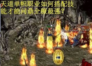 天道单帜职业如何搭配技能才能问鼎全服最强？