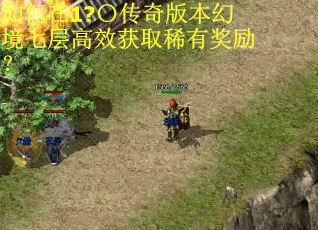 如何在1?〇传奇版本幻境七层高效获取稀有奖励？