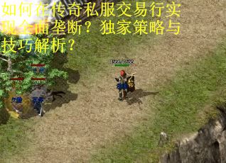 如何在传奇私服交易行实现全面垄断？独家策略与技巧解析？
