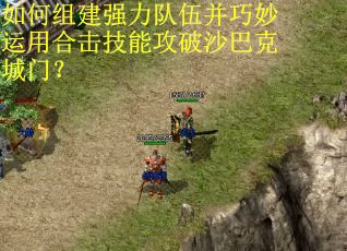 如何组建强力队伍并巧妙运用合击技能攻破沙巴克城门？